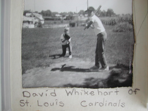 david_whikehart__cardinals